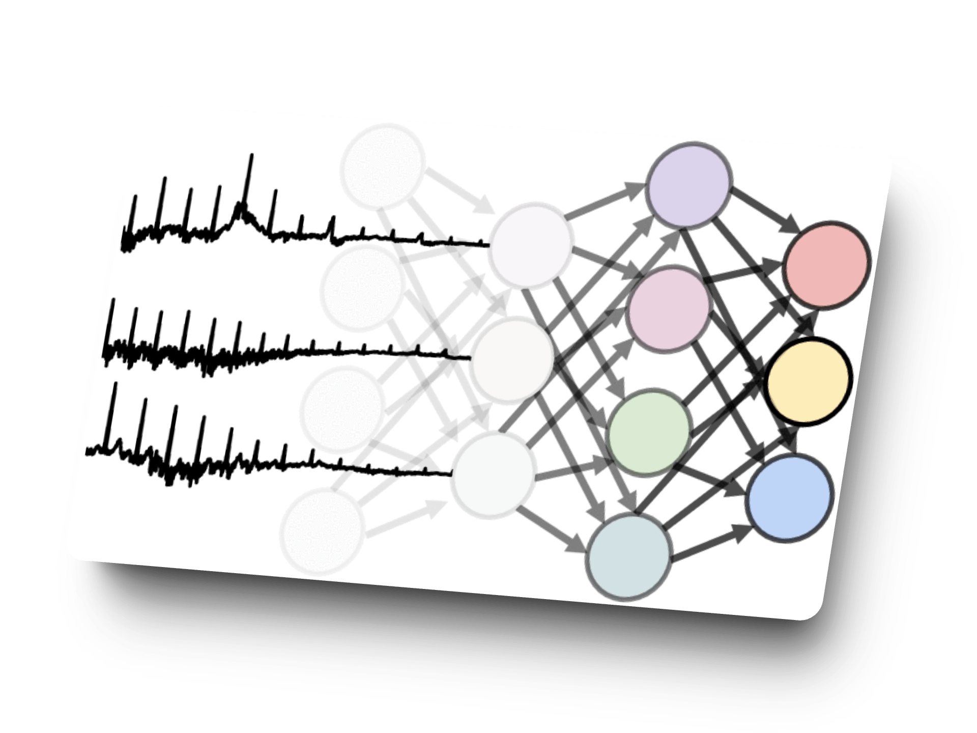 PhysioNet Challenge 2022 image